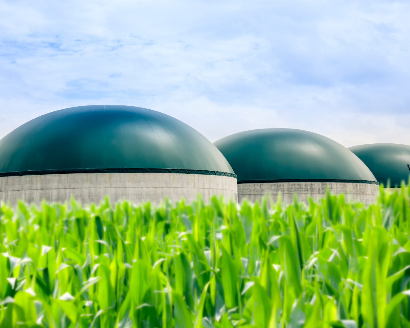 Modern biogas plant with anaerobic digesters processing organic waste into renewable energy, surrounded by green crops under blue sky.